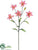 Tiger Lily Spray - Cerise - Pack of 12