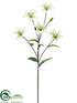 Silk Plants Direct Tiger Lily Spray - Cream Lime - Pack of 12