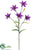 Tiger Lily Spray - Purple - Pack of 12