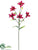 Tiger Lily Spray - Red Burgundy - Pack of 12
