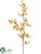 Peruviana Lily Spray - Yellow - Pack of 12