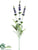 Lavender Spray - Purple - Pack of 12