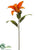 Lily Spray - Rust - Pack of 12