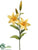 Day Lily Spray - Yellow - Pack of 12