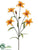 Tiger Lily Spray - Mustard - Pack of 12