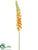 Foxtail Lily Spray - Orange - Pack of 6
