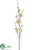 Winter Lily Spray - Beige - Pack of 12