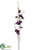 Winter Lily Spray - Eggplant - Pack of 12