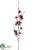 Winter Lily Spray - Wine Two Tone - Pack of 12