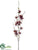 Winter Lily Spray - Wine Two Tone - Pack of 12