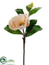 Silk Plants Direct Magnolia Spray - Apricot Soft - Pack of 12