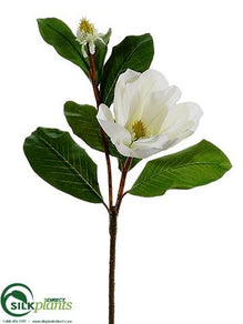 Magnolia Spray - White - Pack of 12