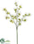 Wild Mini Mum Spray - White - Pack of 12