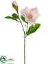 Silk Plants Direct Magnolia Spray - Blush - Pack of 12