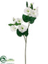 Silk Plants Direct Morning Glory Spray - White Green - Pack of 12