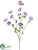 Morning Glory Spray - Purple - Pack of 12