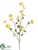 Morning Glory Spray - Yellow - Pack of 12