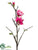 Japanese Magnolia Spray - Rubrum - Pack of 12