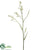 Crocosmia Spray - Cream - Pack of 12