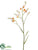 Crocosmia Spray - Flame - Pack of 12