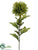 Mum Spray - Olive Green - Pack of 12