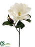 Silk Plants Direct Magnolia Spray - Cream - Pack of 6