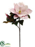 Silk Plants Direct Magnolia Spray - Mauve Cream - Pack of 6