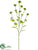 Flower Spray - Green - Pack of 12
