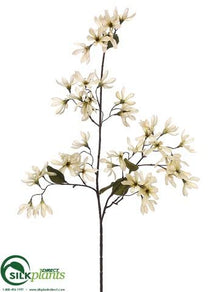 Wild Magnolia Spray - Ivory Sage - Pack of 12