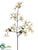 Wild Magnolia Spray - Ivory Sage - Pack of 12