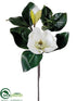 Silk Plants Direct Magnolia Spray - White - Pack of 12