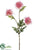 Aster Mum Spray - Pink - Pack of 12