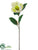 Magnolia Spray - White - Pack of 12