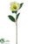 Silk Plants Direct Magnolia Spray - Lime - Pack of 12