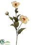 Silk Plants Direct Magnolia Spray - Beige - Pack of 12