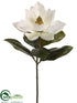 Silk Plants Direct Magnolia Spray - Cream - Pack of 12