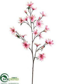 Butterfly Magnolia Spray - Pink Rubrum - Pack of 6
