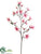 Butterfly Magnolia Spray - Pink Rubrum - Pack of 6