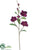Silk Plants Direct Magnolia Spray - Amber - Pack of 12