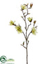 Silk Plants Direct Magnolia Spray - Cream Green - Pack of 12