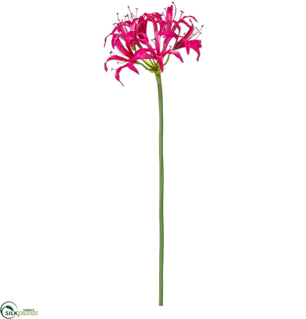 silk spider plants for sale Silk Plants Direct Nerine Lily Spray - Fuchsia