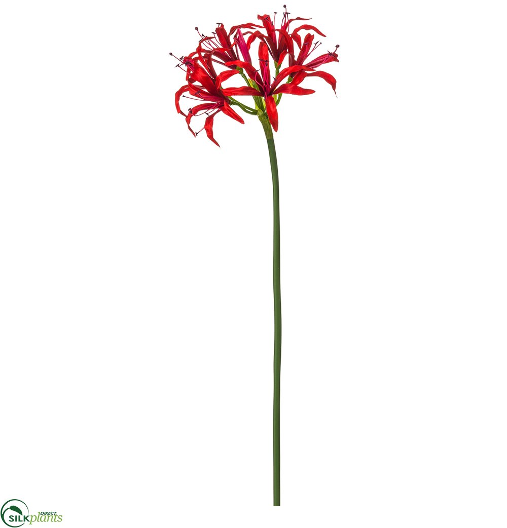red spider lily for sale Silk Plants Direct Nerine Lily Spray - Red
