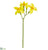 Narcissus Spray - Yellow - Pack of 12