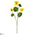 Nasturtium Spray - Yellow - Pack of 12