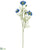 Nigella Spray - Blue - Pack of 12