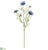 Nigella Spray - Lavender - Pack of 12