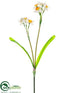 Silk Plants Direct Narcissus Spray - White Orange - Pack of 12