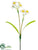 Silk Plants Direct Narcissus Spray - White Yellow - Pack of 12