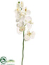 Silk Plants Direct Phalaenopsis Orchid Spray - Cream - Pack of 12