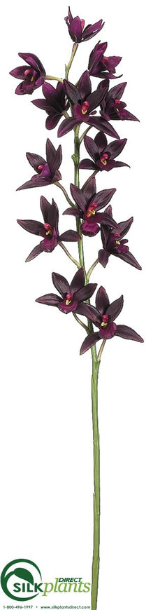 Cymbidium Orchid Spray - Plum - Pack of 12